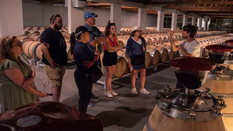 Bordeaux: Half-Day Margaux Tour with Wine Tastings - The Sum Up