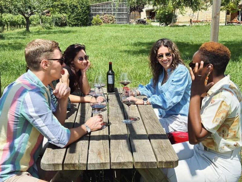 Bordeaux: Half-Day Private Natural Wine Tour & Tasting - Bordeaux: Half-Day Private Natural Wine Tour & Tasting