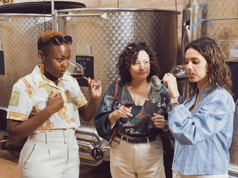 Bordeaux: Half-Day Private Natural Wine Tour & Tasting - Why This Tour Works Well