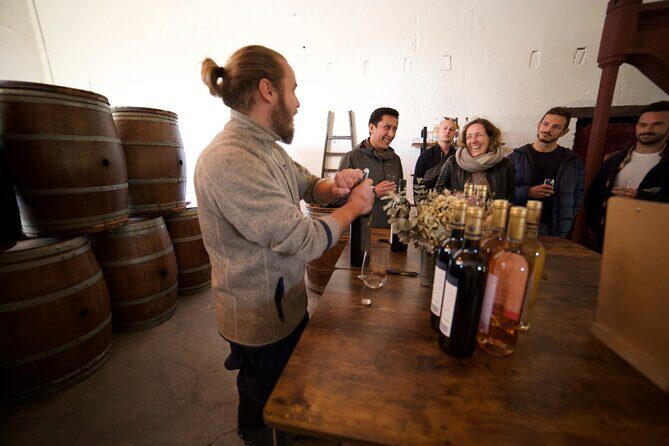 Bordeaux in a Day City and Chateau Visit Shared Walking Tour - Transition to the Countryside and Château Experience