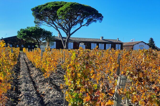 Bordeaux Médoc Region Private Wine Lovers Tour with Chateau Visits & Tastings - A Detailed Look at the Bordeaux Médoc Private Wine Tour