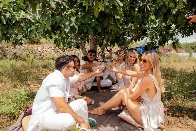 Bordeaux: Private Horseback Riding and Wine Tasting & Picnic - Key Points
