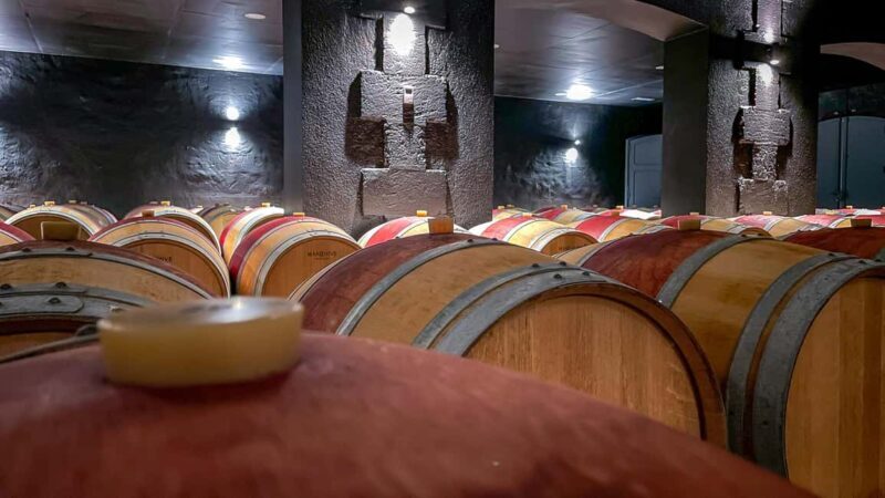 Bordeaux: Saint-Emilion and Medoc Full-Day Wine Experience - Key Points