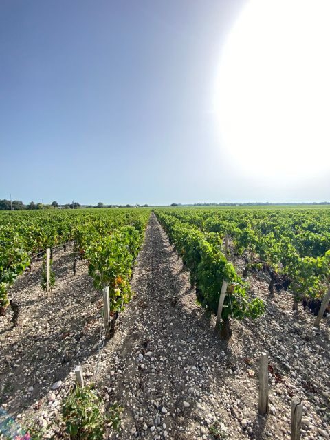 Bordeaux: Saint Emilion Village with Chateaus & Wine Tasting - Bordeaux: Saint Emilion Village with Chateaus & Wine Tasting — A Balanced Look