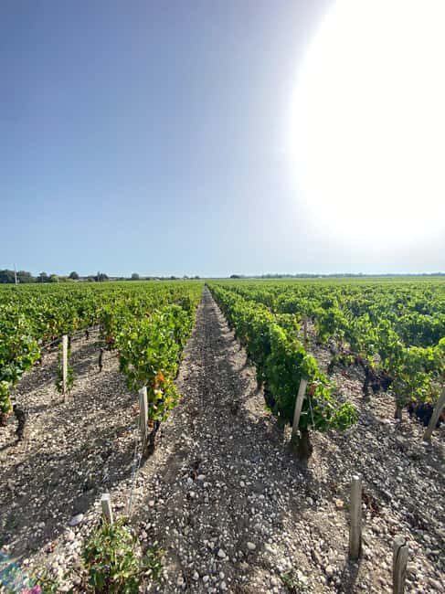 Bordeaux: Saint Emilion Village with Chateaus & Wine Tasting - Final Thoughts