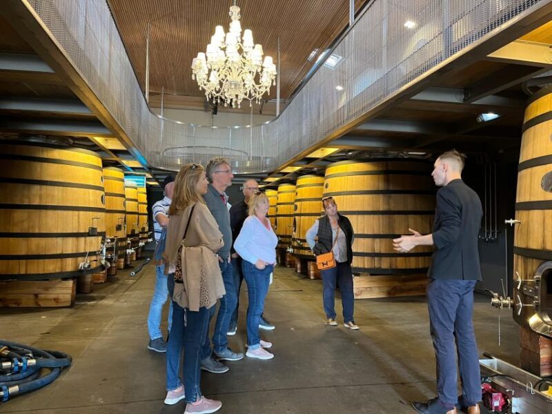 Bordeaux: Saint-Émilion wine tour in a small group - Key Points