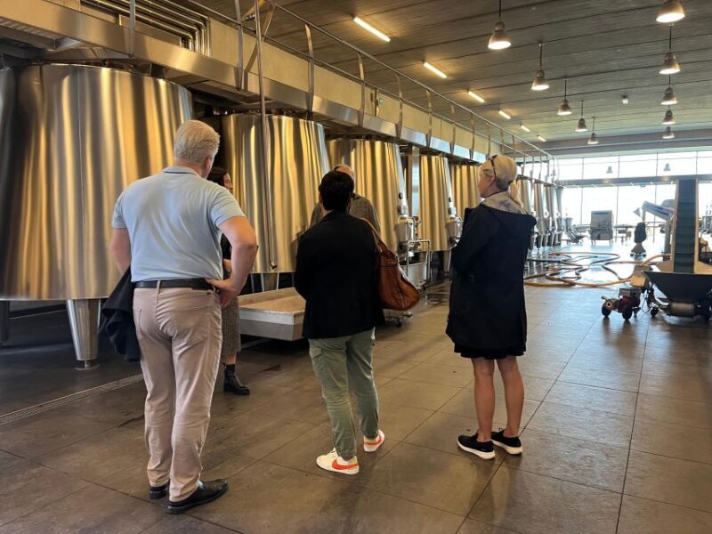 Bordeaux: Saint-Émilion wine tour in a small group - Final Thoughts