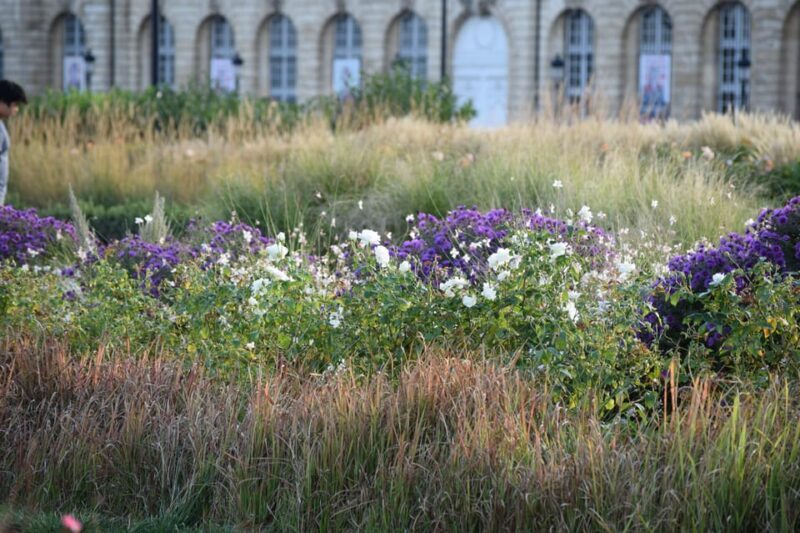 Bordeaux : see the whole city by bike - Exploring Bordeaux by Bike: A Practical and Enjoyable Approach