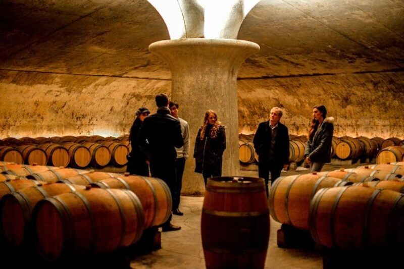 Bordeaux: St-Emilion and Medoc Wine Day Tour with Lunch - Discover Bordeaux’s Wine Country: Saint-Emilion and Médoc Day Tour