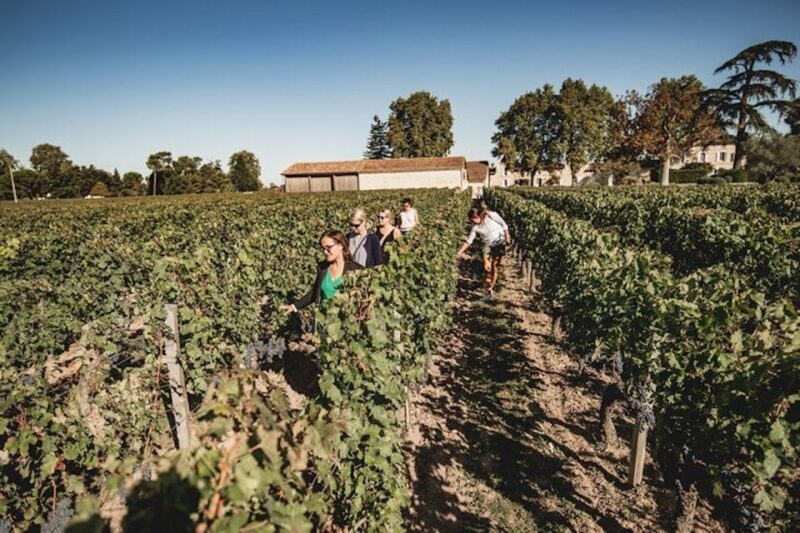 Bordeaux: St-Emilion and Medoc Wine Day Tour with Lunch - Key Points