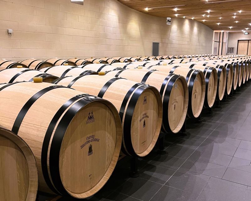 Bordeaux: St-Emilion Vineyards e-Bike Tour with Wine & Lunch - A Richly Detailed Look at the Saint Emilion E-Bike Tour