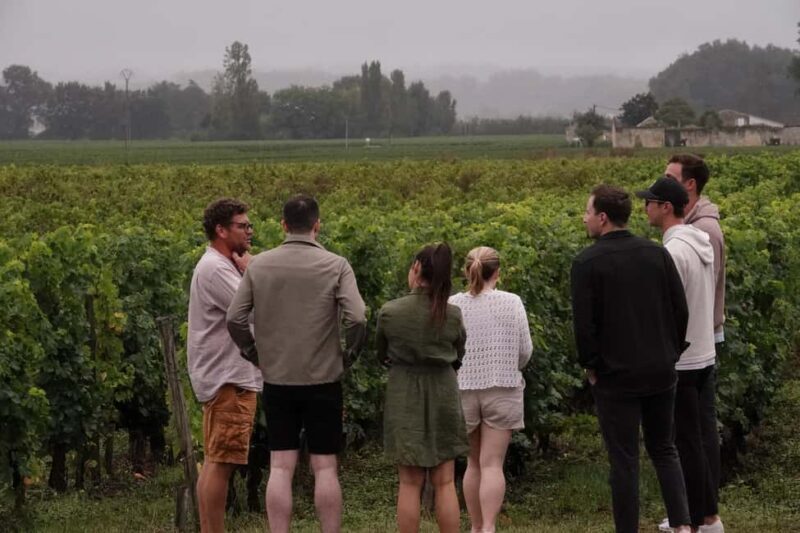 Bordeaux: St. Emilion Wine and E-Bike Tour with Lunch - Key Points