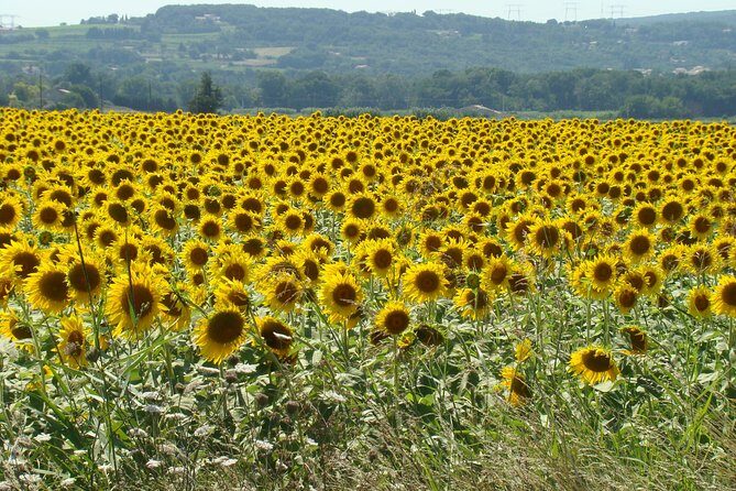 Bordeaux to Dordogne - Private Tour: Fortified Castles and Medieval Villages - Who Would Love This Tour?