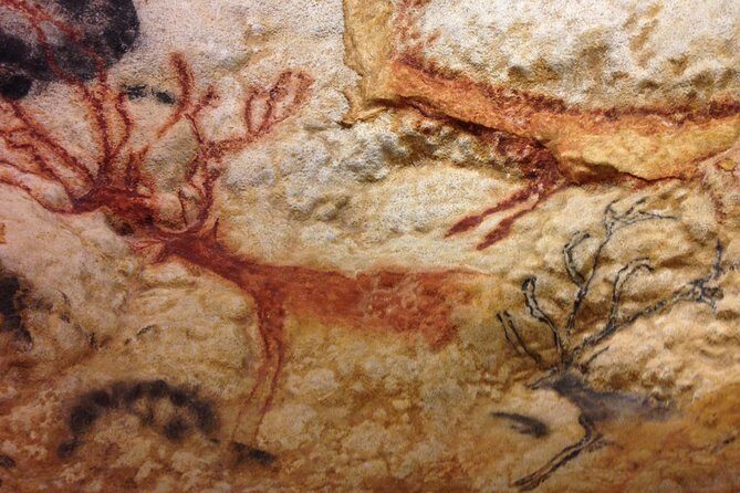 Bordeaux to Lascaux and Dordogne Valley Private Sightseeing Tour - A Deep Dive into the Experience