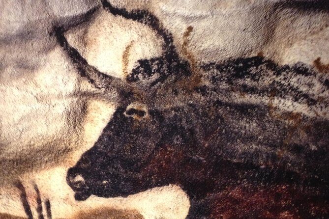 Bordeaux to Lascaux and Dordogne Valley Private Sightseeing Tour - FAQs