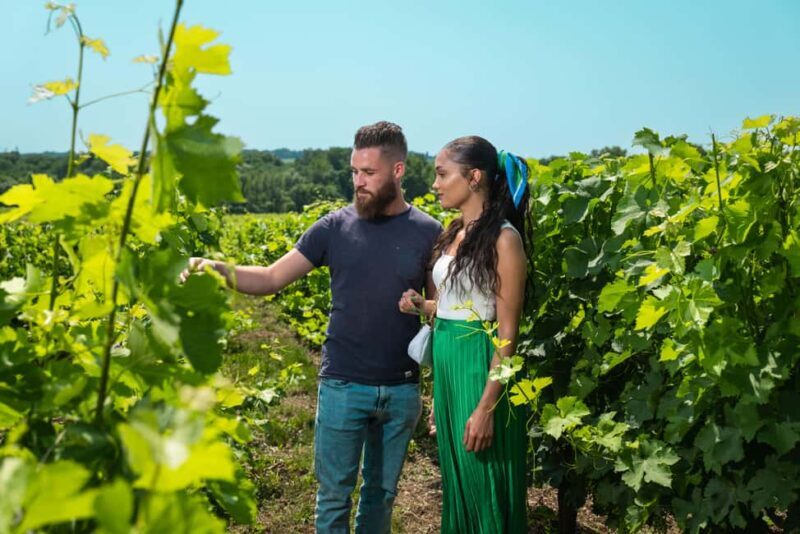 Bordeaux: Visite/dégustation hédoniste au Château de Reignac - The Practical Details: What to Expect and Consider