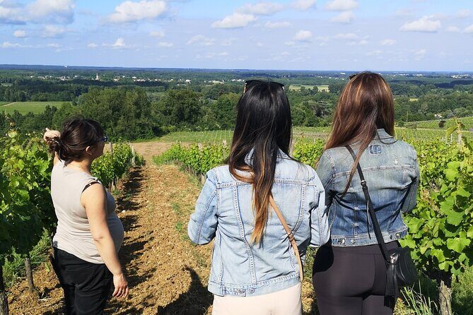 Bordeaux wine tour: 2 wineries (red & white wine) - The Practical Side: What to Expect and Consider
