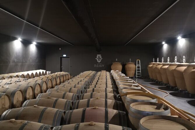 Bordeaux wine tour: 2 wineries (red & white wine) - Authenticity and Visitor Feedback