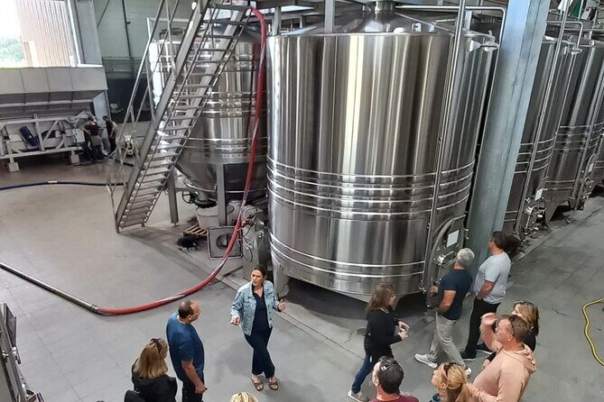 Bordeaux wine tour: 2 wineries (red & white wine) - Final Thoughts