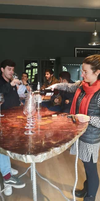 Bordeaux wine tour: 2 wineries & wine tastings (red & white) - Exploring the Bordeaux Wine Tour in Depth