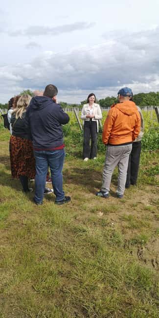 Bordeaux wine tour: 2 wineries & wine tastings (red & white) - Who Would Enjoy This Tour?