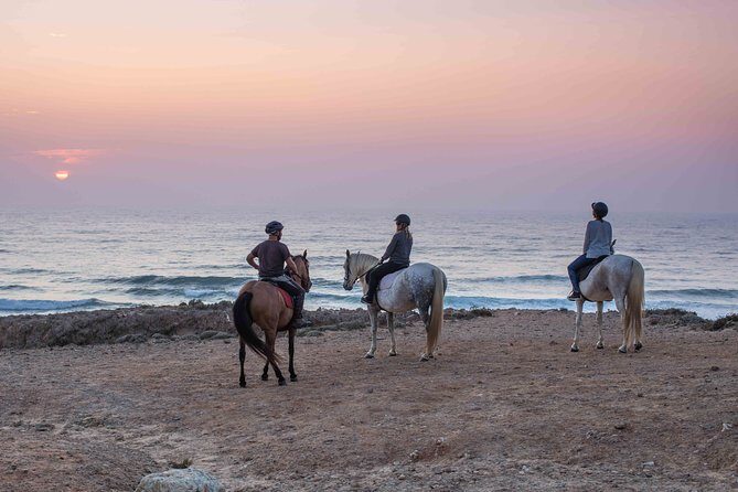 Bordeira Beach - Horse Riding Tour at Sunset - Final Thoughts: Who Is This Tour Perfect For?