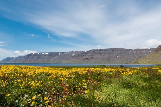 Borgarfjörður - The Experience and Its Value