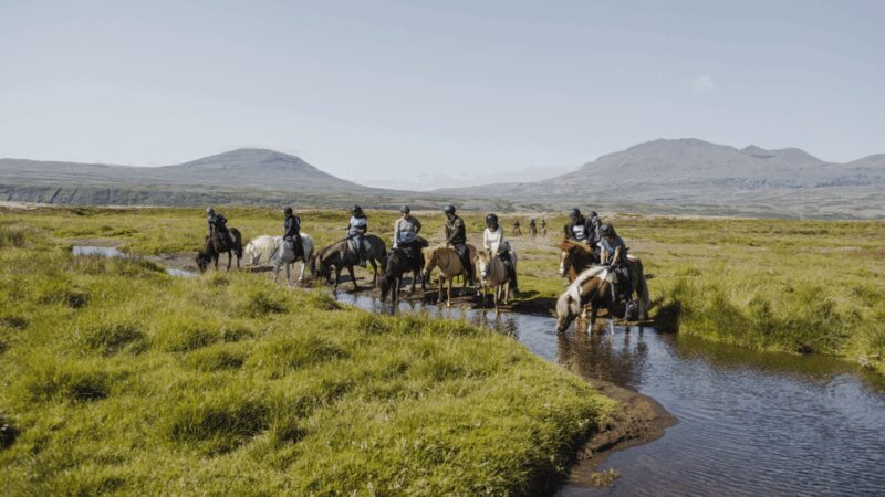 Borgarnes: Horseback Riding Tour with Prep Lesson - Experience the Icelandic Landscape on Horseback in Borgarnes