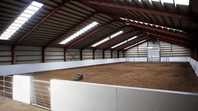 Borgarnes: Horseback Riding Tour with Prep Lesson - Who Should Consider This Tour?