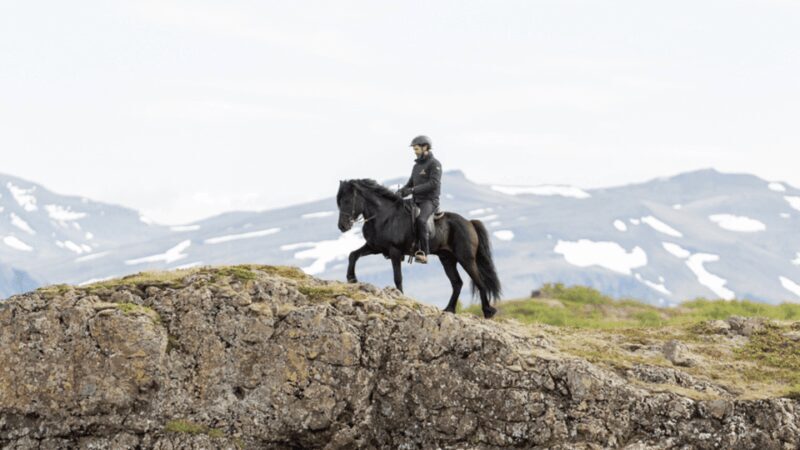 Borgarnes: Horseback Riding Tour with Prep Lesson - The Sum Up: A Genuine Icelandic Adventure Worth Your Time