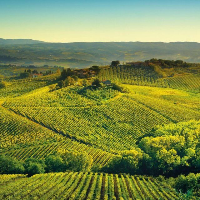 Borgunto non-alcoholic tasting - FAQ