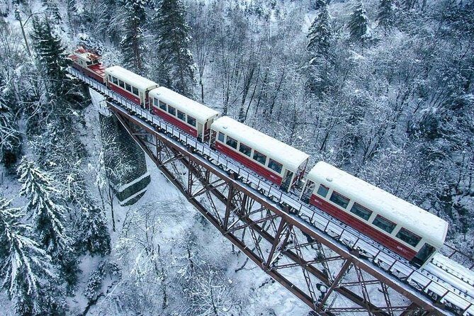Borjomi/Bakuriani Private Full Day Tour from Tbilisi - Key Points