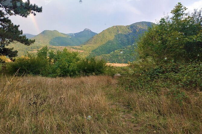 Borjomi Tour from Tbilisi with Bakuriani Resort and Soviet Train Ride - The Sum Up