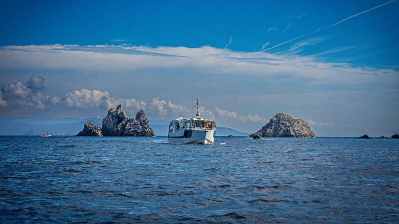 Bormes-les-Mimosas: Hybrid boat trip to Porquerolles Island - Final Words