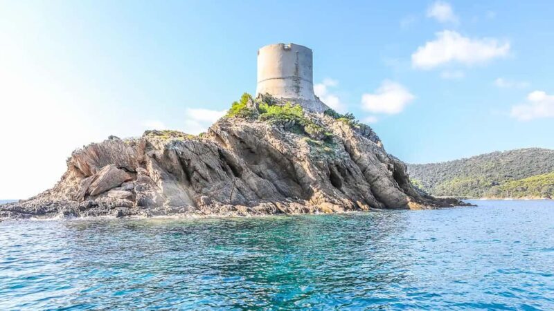 Bormes-les-Mimosas: Sea trip in the heart of Port-Cros National Park - Who Should Consider This Tour?