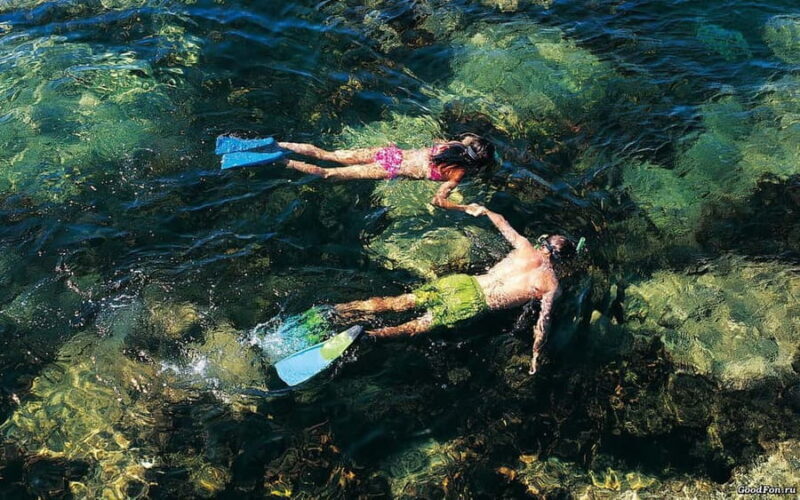 Bormes-les-Mimosas: snorkeling trip - Key Points