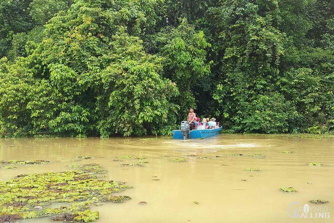 Borneo Kinabatangan River Cruise Day Trip - Who Should Consider This Tour?