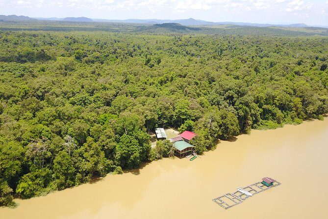 Borneo Wildlife Tour 2 Days 1 Night At Tanjung Bulat Jungle Camp Kinabatangan - An In-Depth Look at the Jungle Adventure