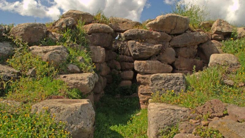 Borore: archaeological tour with tasting - Key Points