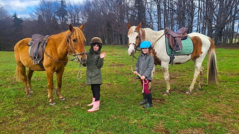 Borovets: Horse Riding Experience - The Experience in Detail
