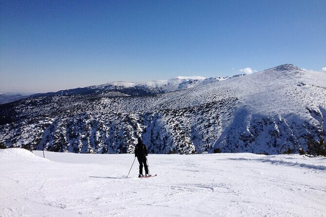 Borovets: Private Ski or Snowboard Tuition - Who Will Love This Experience?