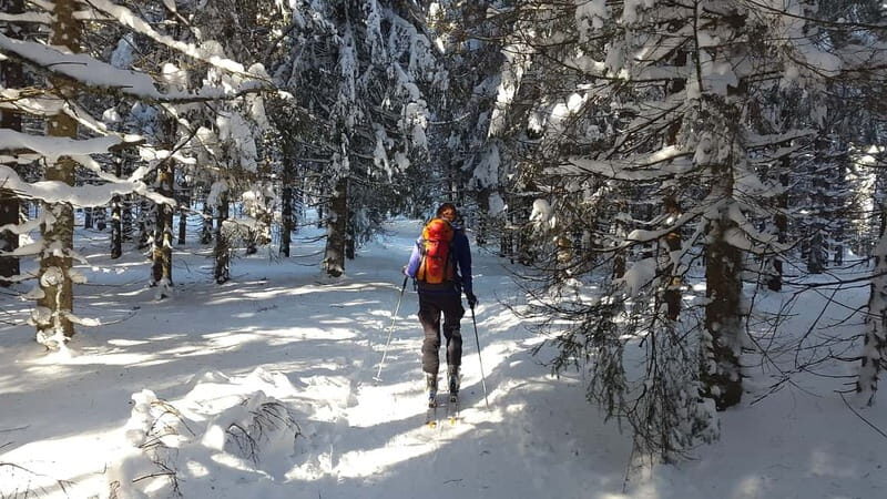 Borovets: Touring Ski Set Rental - Who Is This Tour Best For?