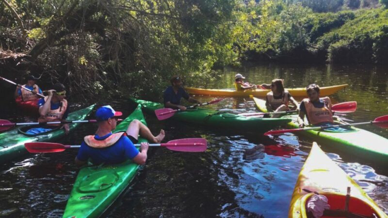 Bosa: Temo River Kayak Rental - Key Points