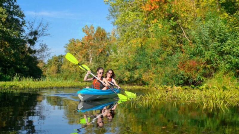 Bosa: Temo River Kayak Rental - An In-Depth Look at the Temo River Kayak Experience