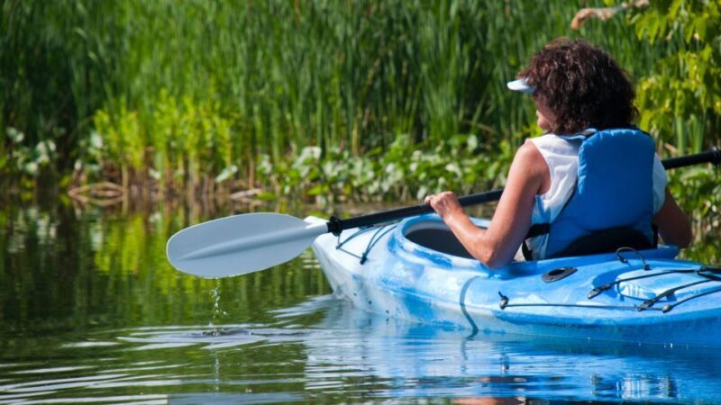 Bosa: Temo River Kayak Rental - Final Thoughts