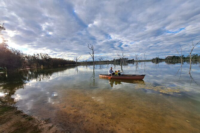 Boshack Farm - Animal, Wildlife, Stargazing Nature Aussie culture - A Deep Dive into the Boshack Farm Experience