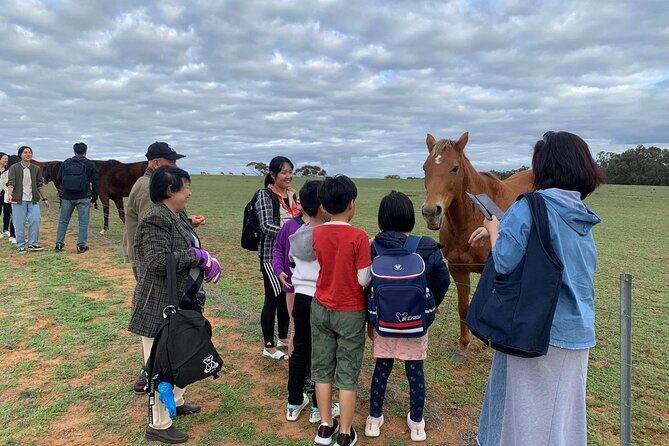 Boshack Farm - Animal, Wildlife, Stargazing Nature Aussie culture - FAQ