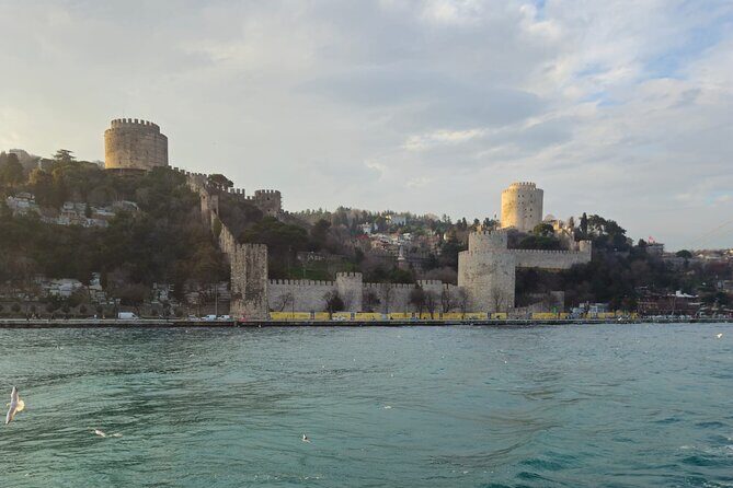 Bosphorus Boat Tour 3 Hour with Asian Side Stop in Istanbul - Exploring Istanbul from the Water: A Detailed Review