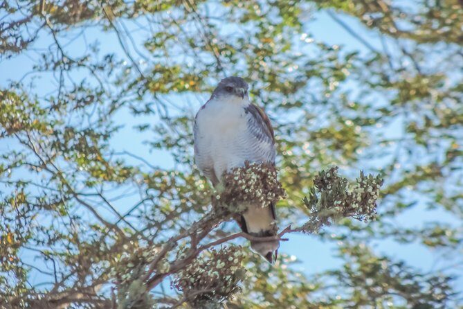 Bosque Piedra Reserve Tour - FAQ: Your Questions About the Bosque Piedra Reserve Tour