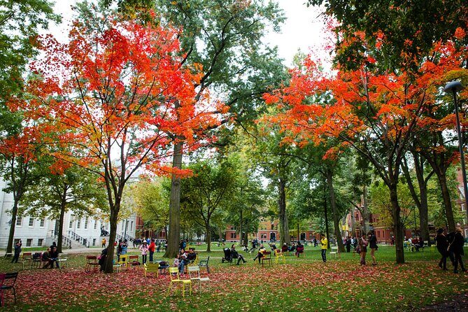 Boston and Cambridge Private Day Tour - Pricing and Value